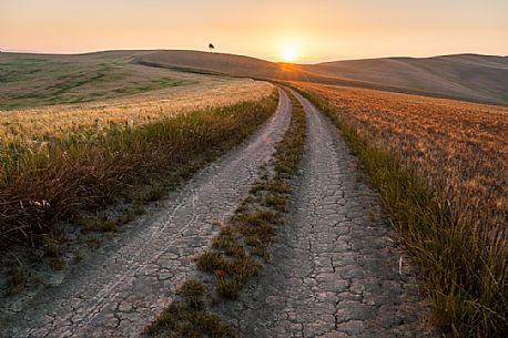 Sunrise in the Crete Senesi landscape, Orcia valley, Tuscany, Italy