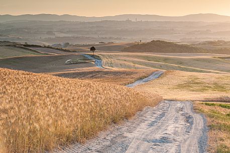 Crete Senesi landscapes, Orcia valley, Tuscany, Italy