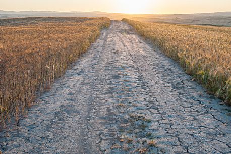 Sunrise in the Crete Senesi landscape, Orcia valley, Tuscany, Italy