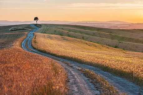 Crete Senesi landscapes, Orcia valley, Tuscany, Italy