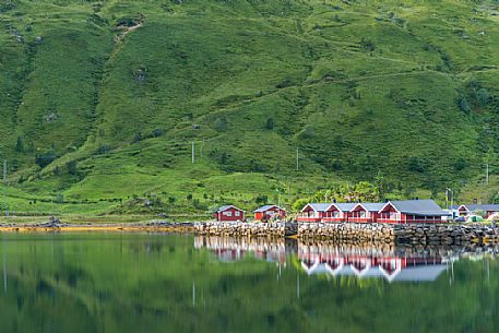 Rorbu house the traditional Norwegian fishermen house, Reine village, Lofoten islands, Norway