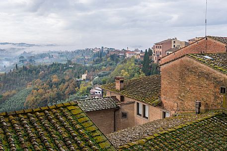 Foggy morning in San Miniato village, Tuscany, Italy