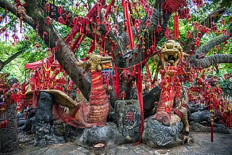 Tree and prayers in Guilin, Guangxi, China