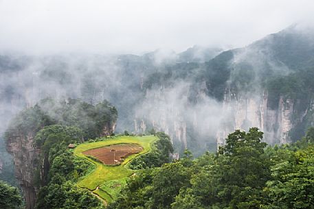 Foggy day in the Zhangjiajie National Forest Park, Hunan, China