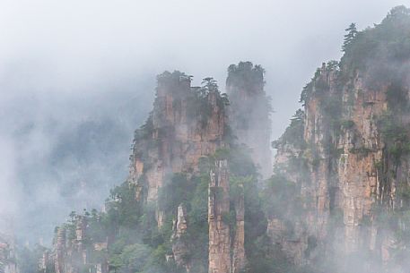 Detail of Hallelujah mountains or Avatar mountains in the Zhangjiajie National Forest Park, Hunan, China