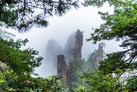 View through the forest of Hallelujah mountains or Avatar mountains in the Zhangjiajie National Forest Park, Hunan, China