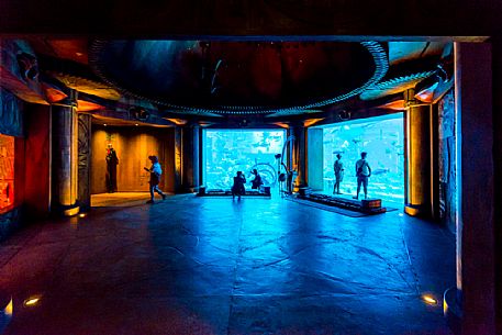 Visitors watching the aquarium in the Atlantis Hotel on the Jumeirah Palm island, Dubai city, United Arab Emirates, Asia