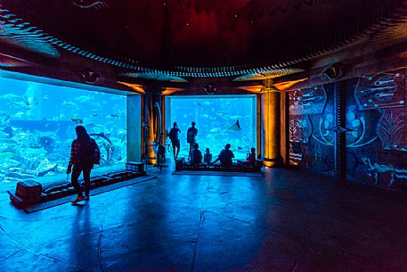 Visitors watching the aquarium in the Atlantis Hotel on the Jumeirah Palm island, Dubai city, United Arab Emirates, Asia Visitors watching the aquarium in the Atlantis Hotel on the Jumeirah Palm island, Dubai city, United Arab Emirates, Asia