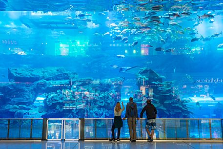 Visitors at the Aquarium inside Dubai Mall, Dubai city, United Arab Emirates, Asia