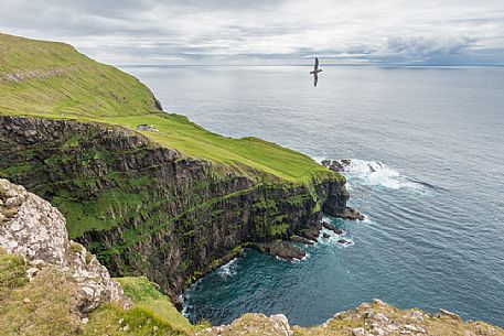 The wild coast near Fmjin village, Suouroy island, Faeroe Islands, Denmark, Europe