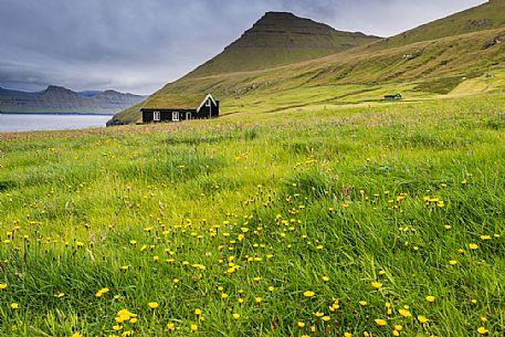 Traditional house near Gjgv village, Eysturoy Island, Faeroe islands, Denmark, Europe