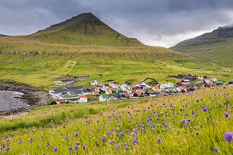 Gjógv Village with floweing meadow, Eysturoy Island, Faeroe islands, Denmark, Europe Gjógv Village with floweing meadow, Eysturoy Island, Faeroe islands, Denmark, Europe