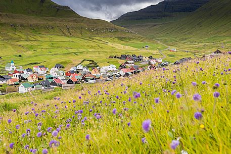 Gjgv Village with floweing meadow, Eysturoy Island, Faeroe islands, Denmark, Europe