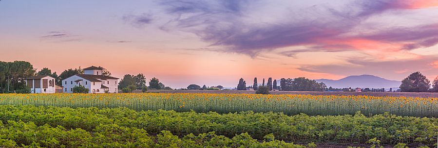 Typical Tuscan landscape near Volterra, Tuscany, Italy, Europe