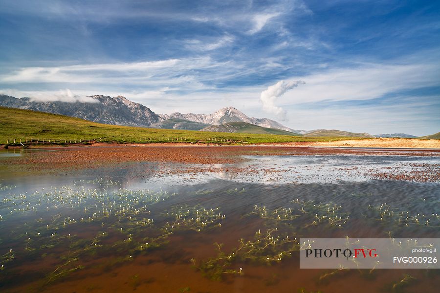 Spring blooms in Lake Racollo, in the background the Mount Camicia and Mount Prena. Gran Sasso national park