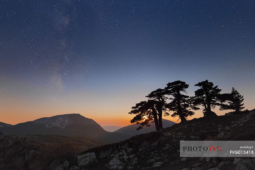 Night landscape with Leucodermis Pines. 
Serra di Crispo at moonset. Monte Pollino an the milky way in the background