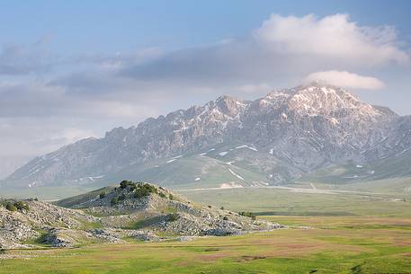 The plain of Campo Imperatore with the colors of the first blooms and Mount Prena, Gran Sasso national park