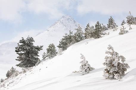 As in a perfect winter postcard Mount Bolza appears sketched in white and blue, Gran Sasso national park