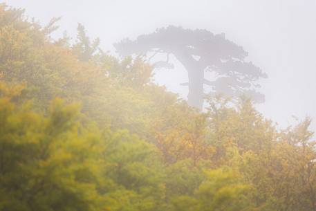 Autumnal wiev of the the so called Autumnal wiev of the the so called