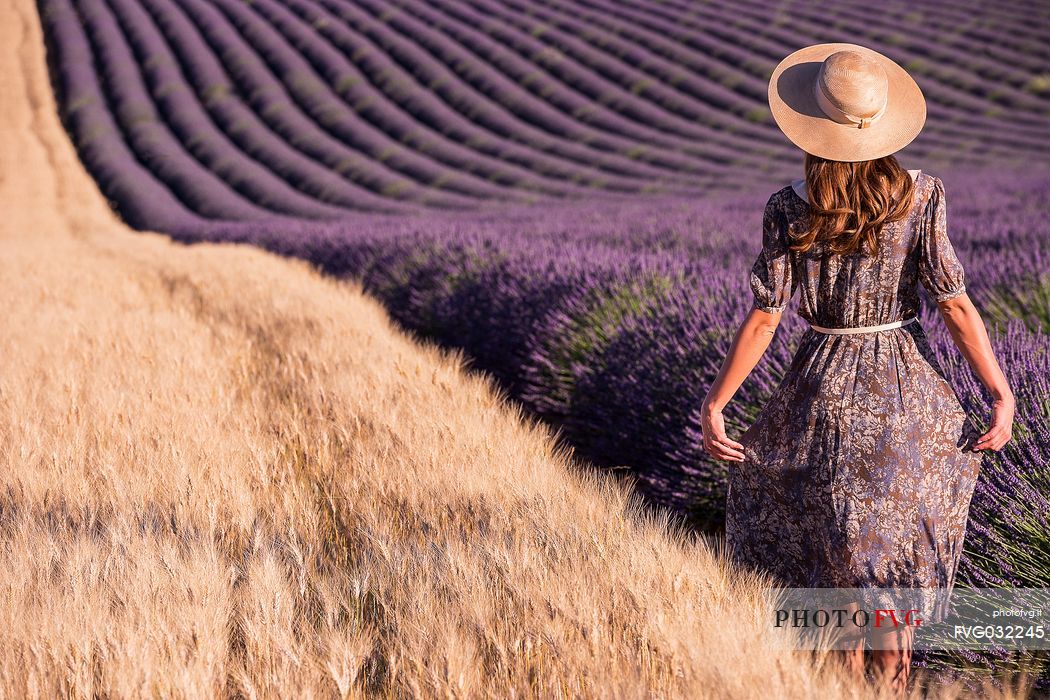 Model in the middle of lavander fields in Valensole, Provence, France