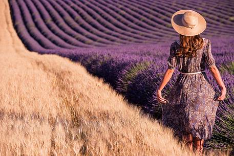 Model in the middle of lavander fields in Valensole, Provence, France