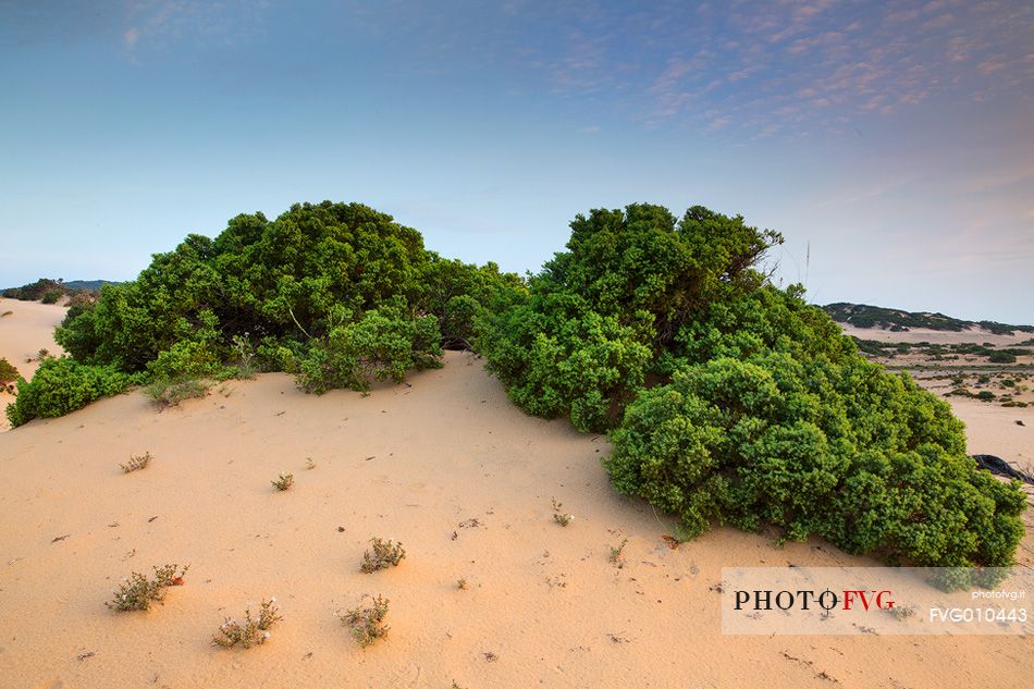 The sardinian desert of Piscinas, Arbus, Sardinia, Italy