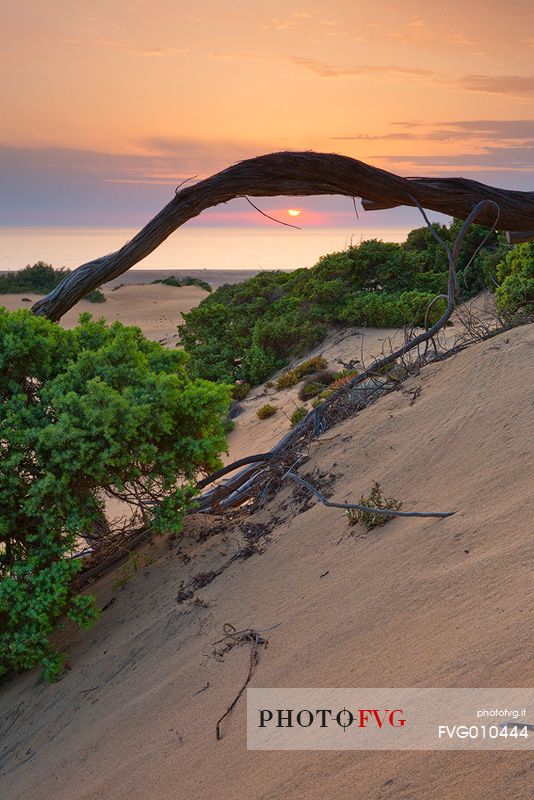 Sunset in the sardinian desert of Piscinas, Arbus, Sardinia