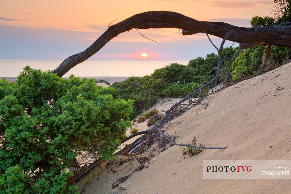 Sunset at the Piscinas, the sardinian desert, Arbus, Sardinia