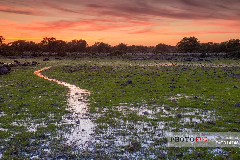 The plateau of the Giara is a vast area in the heart of Sardinia, with an area of 42 square kilometers, and a height of 550 meters above sea level. Just arrived one is enveloped by a feeling of extreme contact with nature