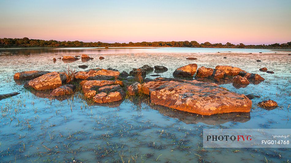 The plateau of the Giara is a vast area in the heart of Sardinia, with an area of 42 square kilometers, and a height of 550 meters above sea level. Just arrived one is enveloped by a feeling of extreme contact with nature