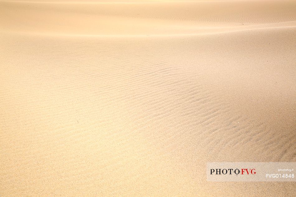 Detail of Piscinas dune, the colors of a warm sunset, the dunes, the desert of Sardinia, a place full of magic, unique in the Mediterranean, Arbus, Sardinia