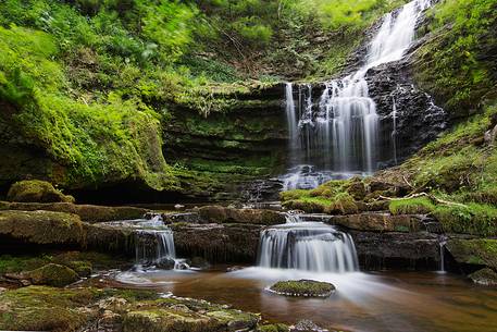 Near Ingleton into the wood