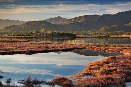 The pond of Colostrai in the sardinian Sarrabus with the red bloom flower