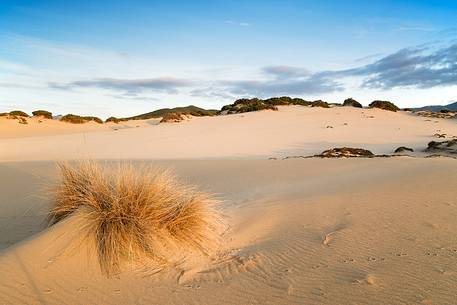 Piscinas is one of the wonders of the whole island, a desert with dunes up to sixty meters that penetrate inland for several miles and plunge into a sea blue and boundless, Arbus, Sardinia