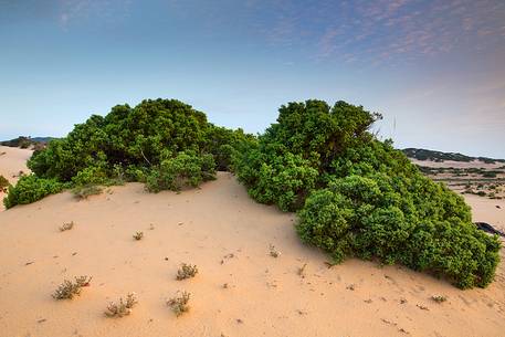 The sardinian desert of Piscinas, Arbus, Sardinia, Italy