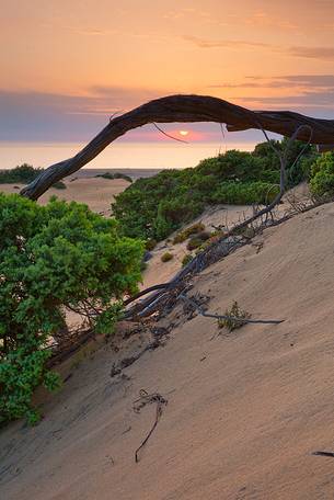 Sunset in the sardinian desert of Piscinas, Arbus, Sardinia