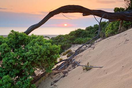 Sunset at the Piscinas, the sardinian desert, Arbus, Sardinia