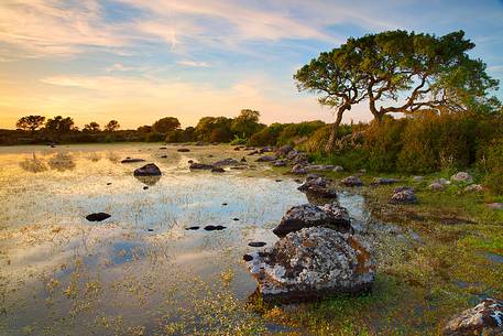 The plateau of the Giara is a vast area in the heart of Sardinia, with an area of 42 square kilometers, and a height of 550 meters above sea level. Just arrived one is enveloped by a feeling of extreme contact with nature