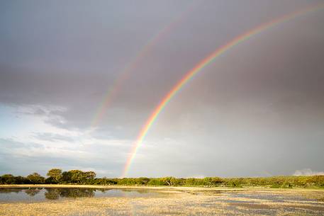 The plateau of the Giara is a vast area in the heart of Sardinia, with an area of 42 square kilometers, and a height of 550 meters above sea level. Just arrived one is enveloped by a feeling of extreme contact with nature