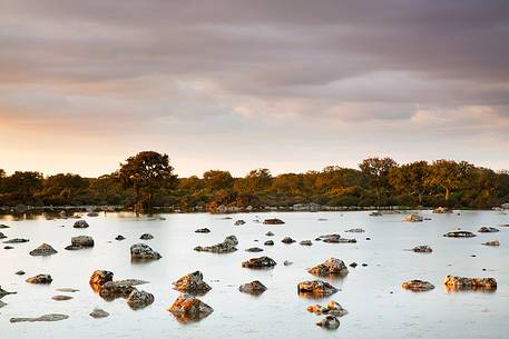 The plateau of the Giara is a vast area in the heart of Sardinia, with an area of 42 square kilometers, and a height of 550 meters above sea level. Just arrived one is enveloped by a feeling of extreme contact with nature