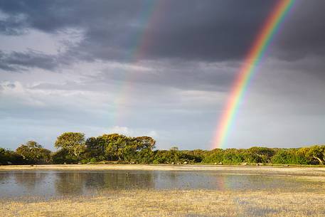 The plateau of the Giara is a vast area in the heart of Sardinia, with an area of 42 square kilometers, and a height of 550 meters above sea level. Just arrived one is enveloped by a feeling of extreme contact with nature