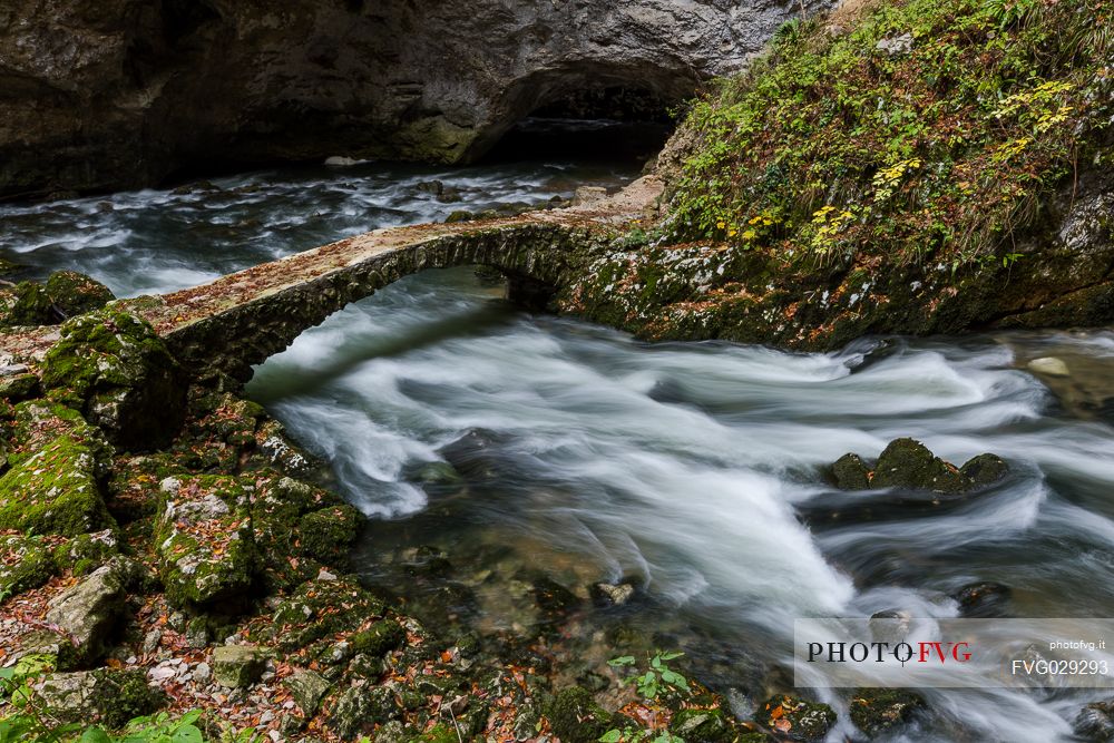 A naturally formed cave in Rakov Skocjan, a wild karst valley formed by Rak river, Carniola Regional Park, Slovenia.