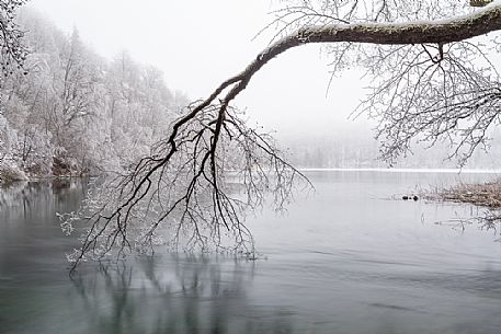 Winter in Plitvice Lakes National Park, Lika-Senj County, Karlovac County, Croatia.