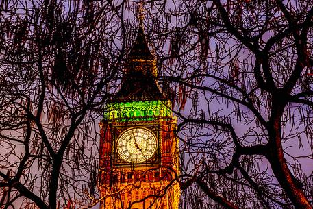 The Big Ben Tower through the trees illuminated at sunset, London, England, United Kingdom, Europe