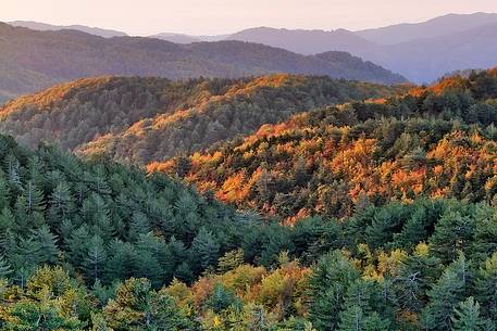 Autumn Colors in the Aspromonte National Park