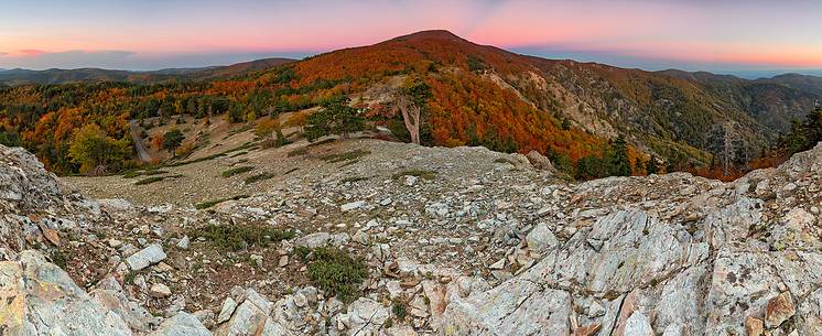 Autumn Colors in the Aspromonte National Park