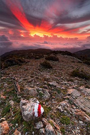 Dawn in the Aspromonte National Park