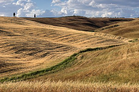 Typica landscape near San Quirico d'Orcia,  Val d'Orcia valley, Tuscany, Italy, Europe