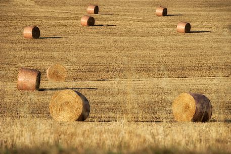 Bales of hay in a field in the Orcia Valley, Tuscany, Italy, Europe