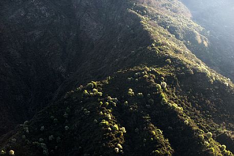 Spring atmospheres in the  Aspromonte National Park, Calabria, Italy, Europe